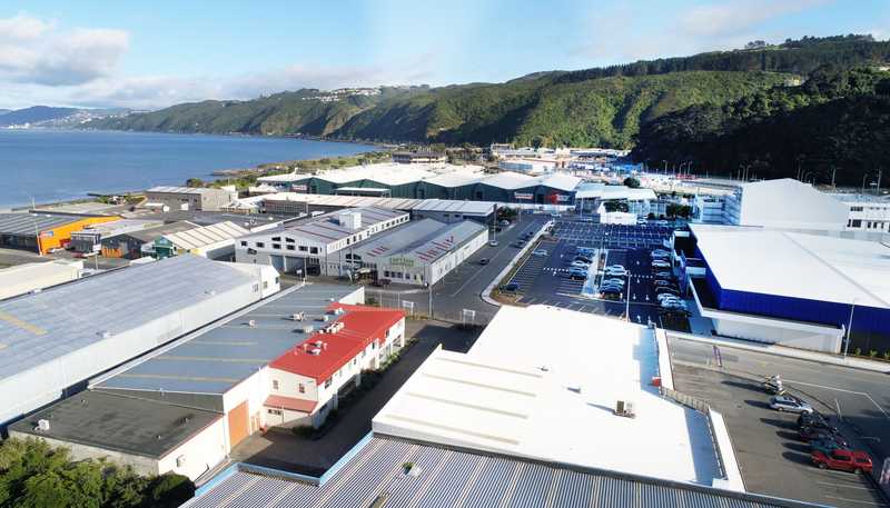 10 Te Puni Street, Petone