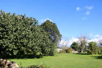 48A Cairnfield Road, Kensington