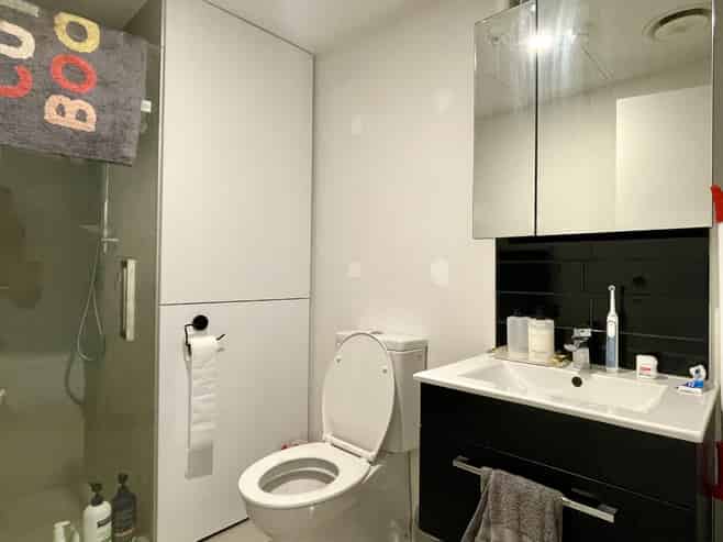 502A/2 Elizabeth Street, Mount Victoria