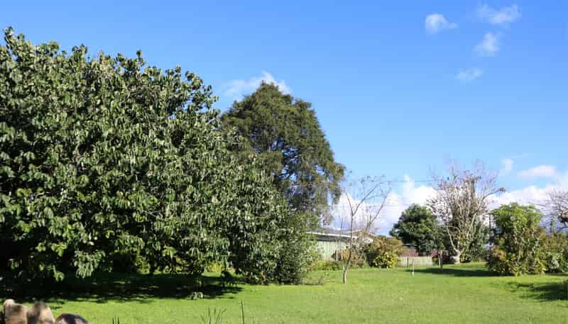 48 Cairnfield Road, Kensington