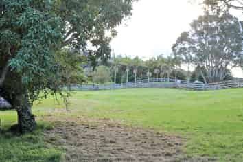 Brenda Gardner Way, Maunu