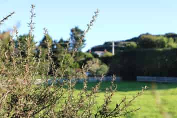 8 Brenda Gardner Way, Maunu
