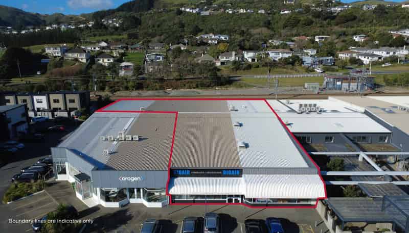10 Surrey Street, Tawa