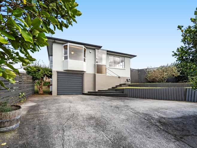 228 Carrington Street, Vogeltown