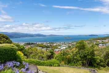 Wellington - Address withheld