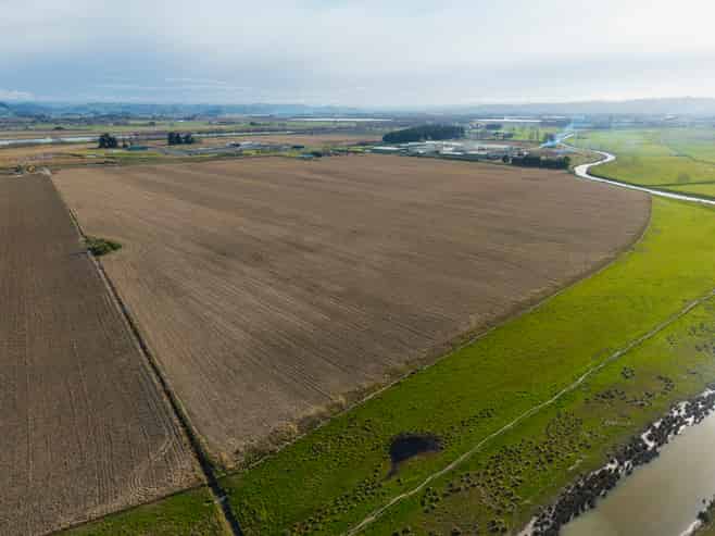 217 Dunstan Road, Matawhero
