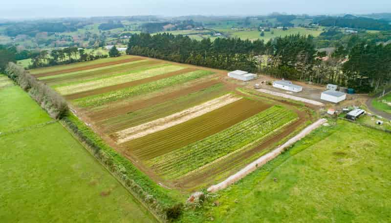 1120I Waiuku Road, WAIUKU