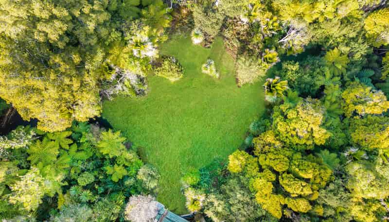 Lot 4/DP 371793 Caton Road, Waitakere