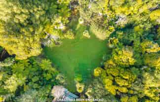 167 Caton Road, Waitakere