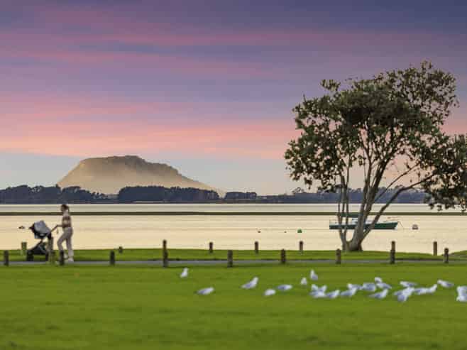 26 Harbour View Road, Omokoroa