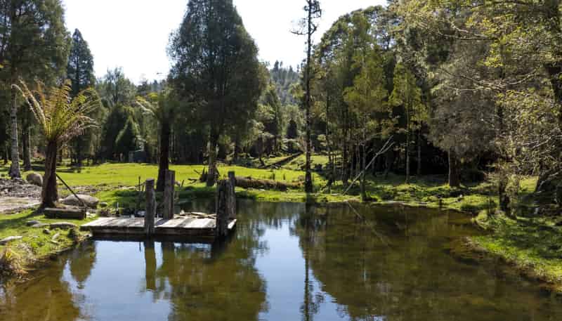  Awakiri River, Charleston