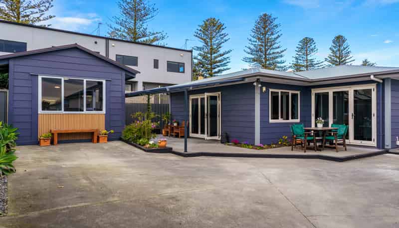 102a McGrath Street, Napier South