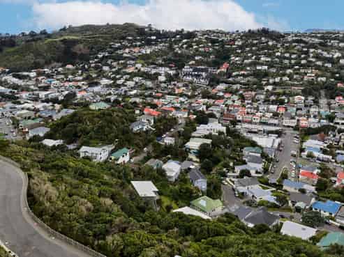 13 Ara Paekawakawa, Island Bay