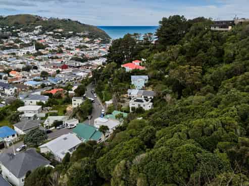 13 Ara Paekawakawa, Island Bay