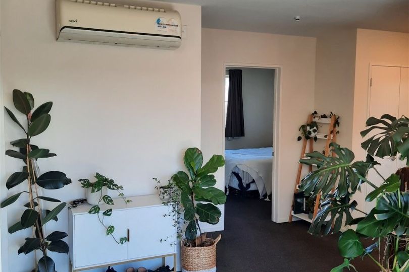 Charming 1-Bedroom Apartment in City Centre Christchurch - Aanzicht 5