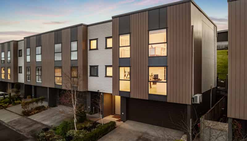 28 Charles Heaphy Lane, Stonefields