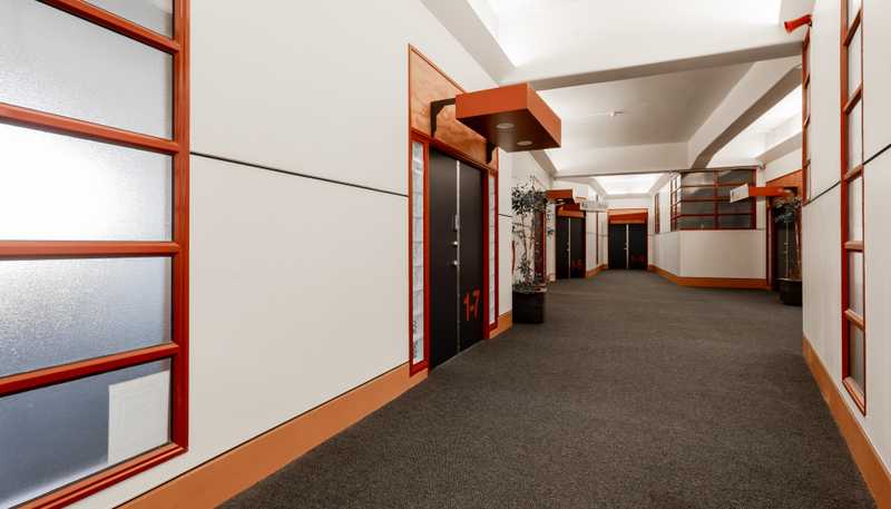 (Suite 7/93 Dominion Road, Mount Eden