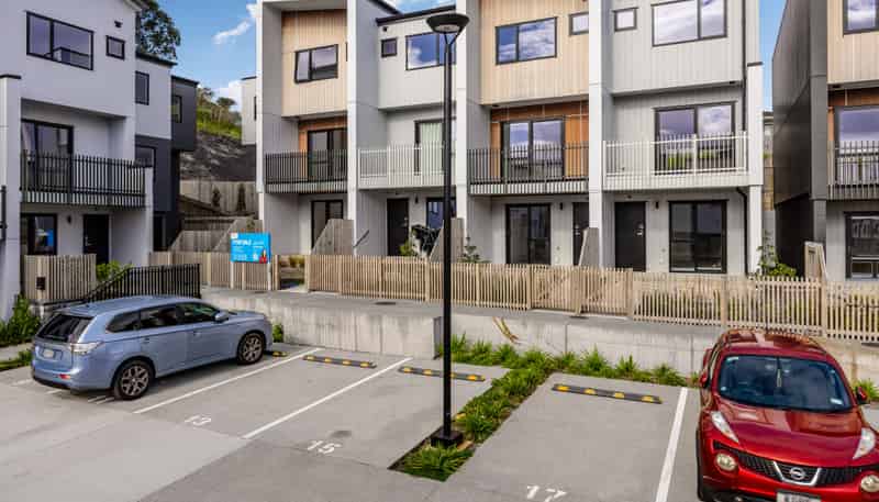 17 Tahepuia Lane, Mount Wellington