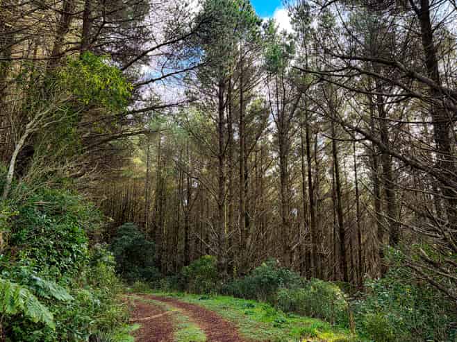 236 Takapu Road, Takapu Valley