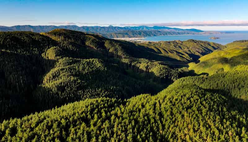 236 Takapu Road, Takapu Valley