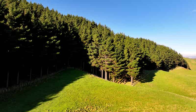 236 Takapu Road, Takapu Valley