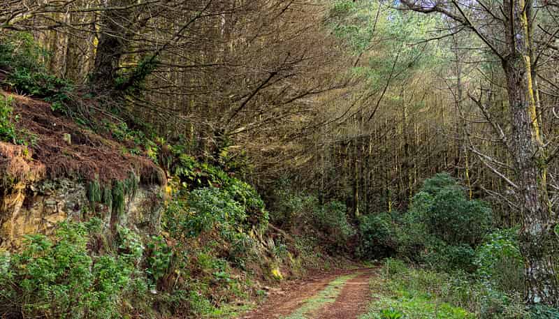 236 Takapu Road, Takapu Valley