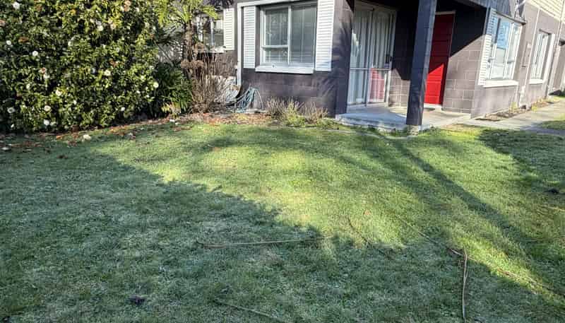 231b  Grey Street, Hamilton East