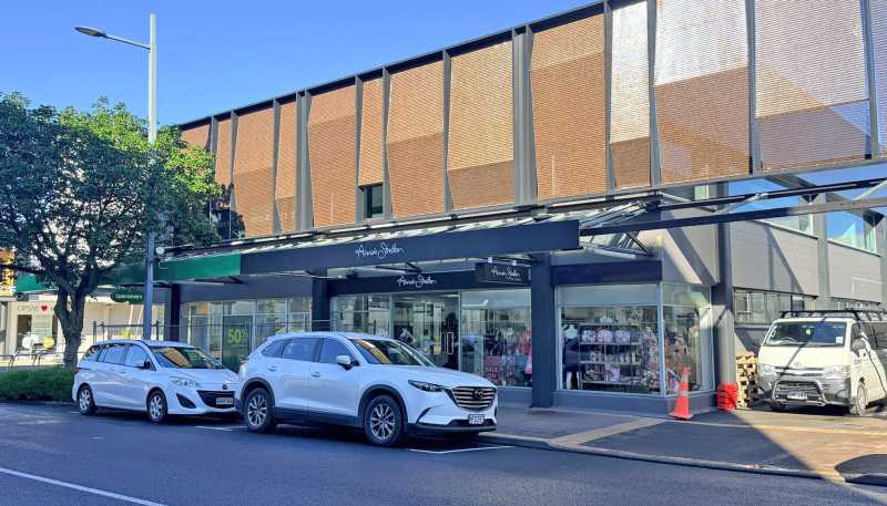 54 Bryce Street Central, Hamilton Central