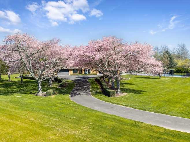 13 Meadowgreen Drive, Tamahere