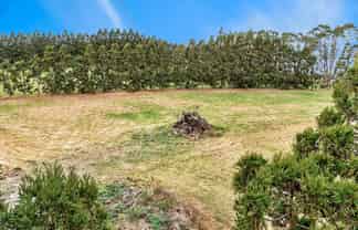 Lot 1/69a Vineyard Lane, Mangawhai