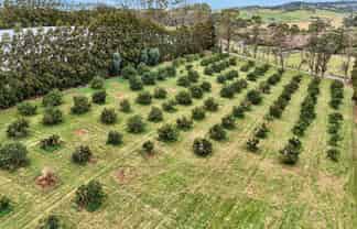 Lot 1/69a Vineyard Lane, Mangawhai