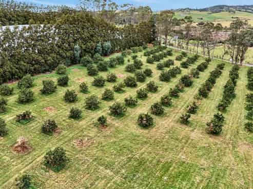Lot 1/69a Vineyard Lane, Mangawhai