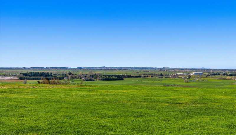 25 Morepork Way, Papamoa