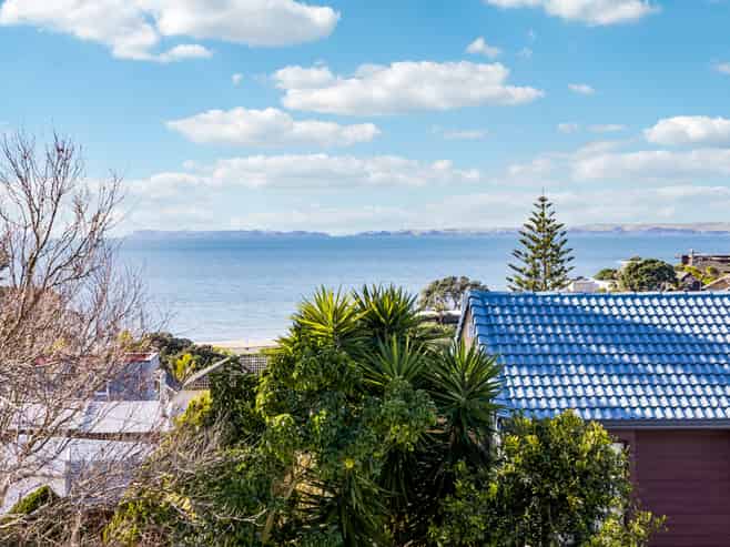 29 Masterton Road, Rothesay Bay