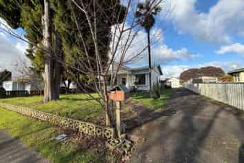 176 Winchester Street, Levin