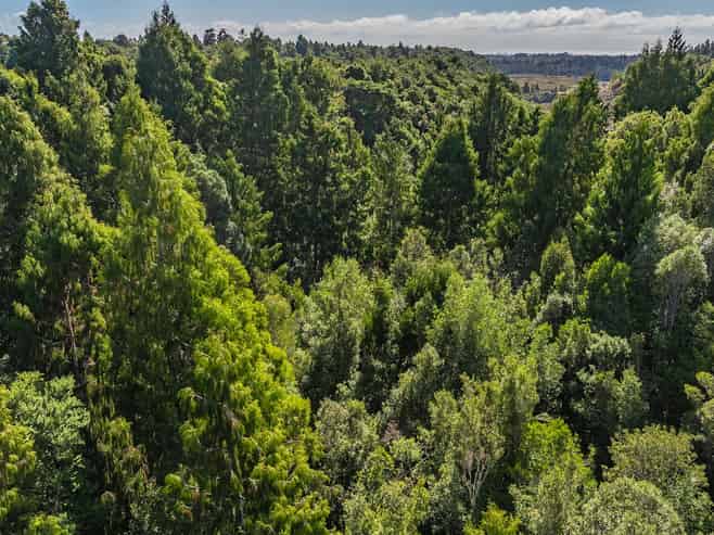 19 Little Paddock Road, Kaniere