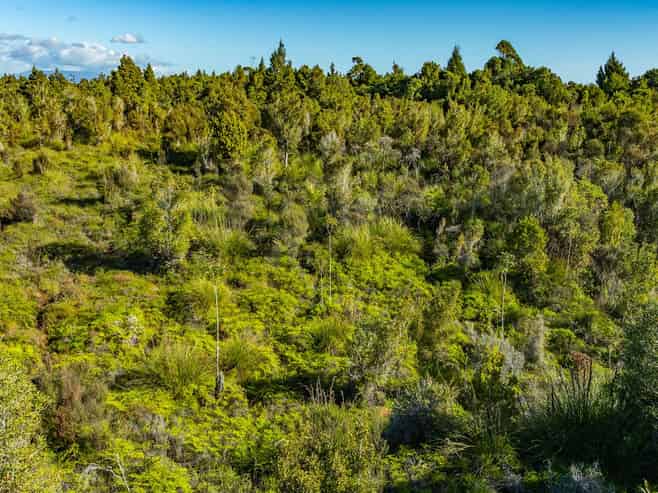 19 Little Paddock Road, Kaniere