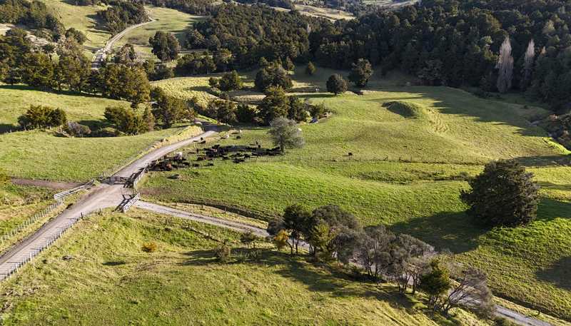 1387 State Highway 1, Okaihau