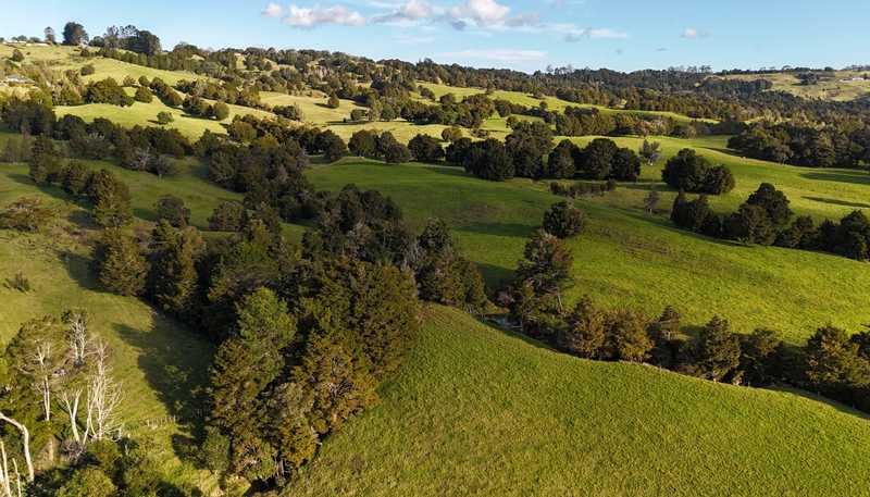 1387 State Highway 1, Okaihau