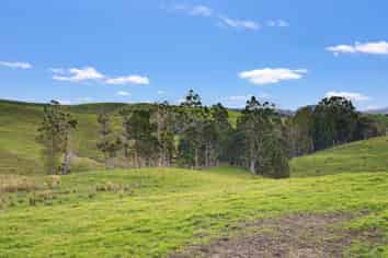  / Lot 12 Gorge Road, Maungaturoto