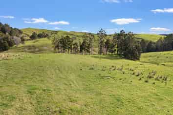  / Lot 12 Gorge Road, Maungaturoto