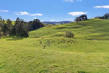  / Lot 12 Gorge Road, Maungaturoto