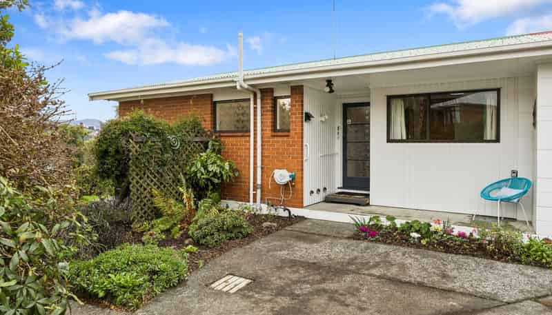 61E Playfair Street, Caversham