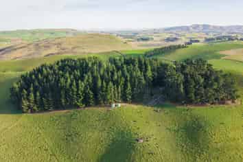  Waihaorunga Road, Waihaorunga