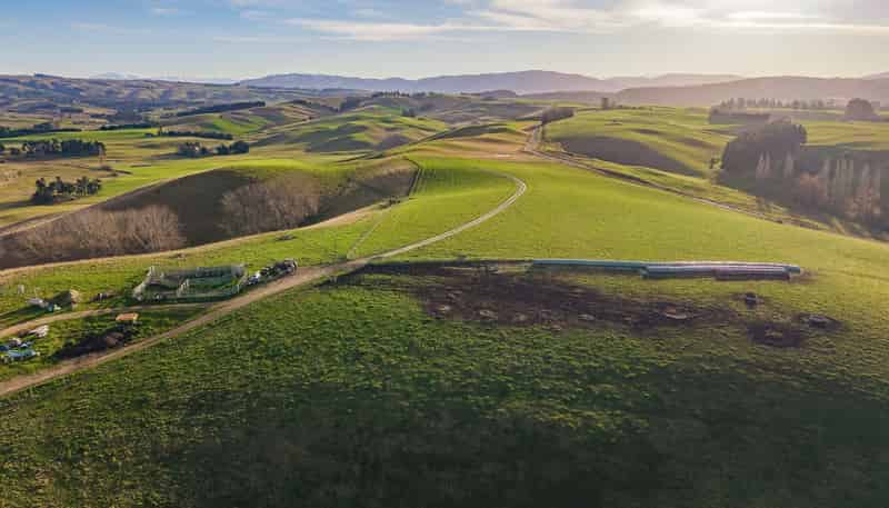  Waihaorunga Road, Waihaorunga