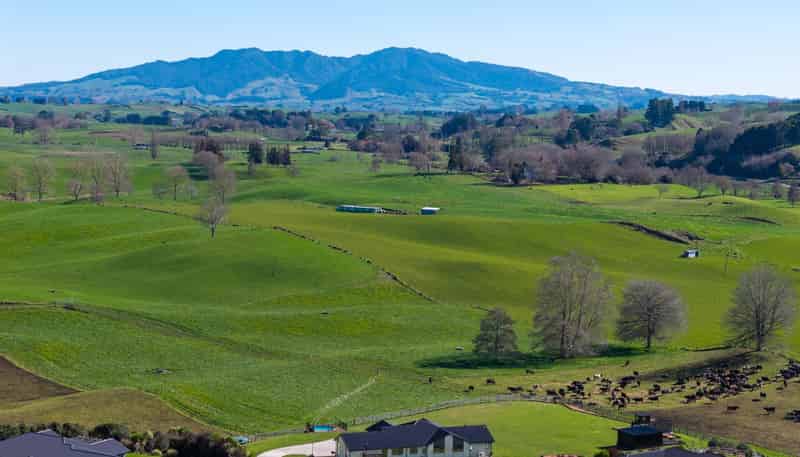 26A Lichfield Road, Putaruru