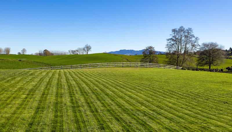 26A Lichfield Road, Putaruru