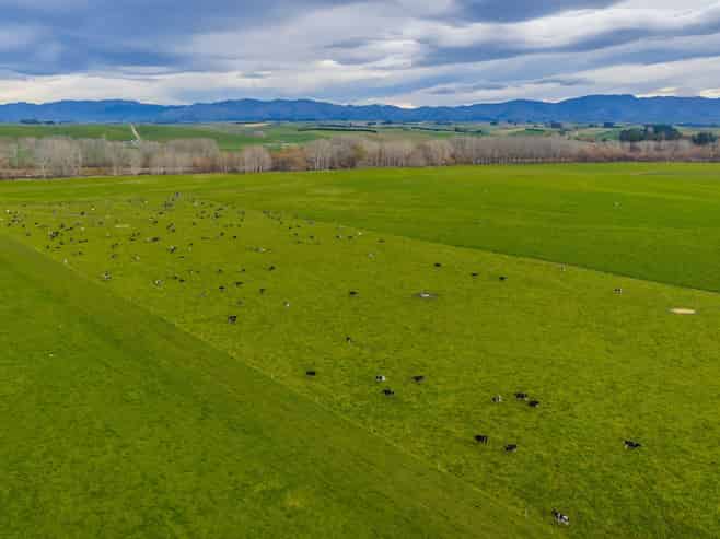 238 and 11 Pooke Road, and Timaru Pareora Highway, Pareora