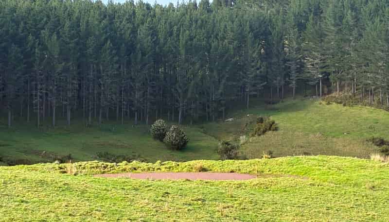  Milne Road, Purua