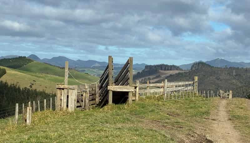  Milne Road, Purua